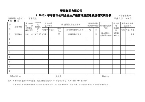 半年报表3(应急救援统计)