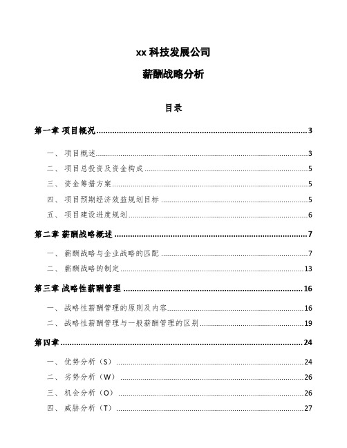 xx科技发展公司薪酬战略分析范文