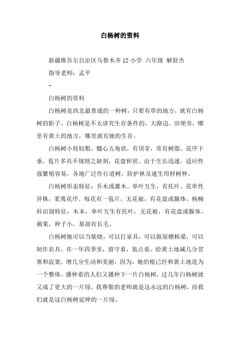 白杨树的资料