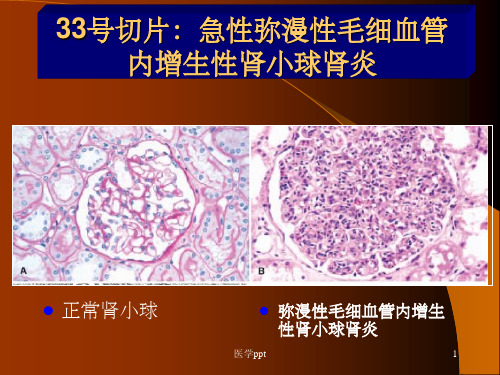 温州医科大学病理学实验考