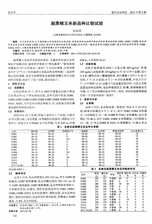 超黑糯玉米新品种比较试验