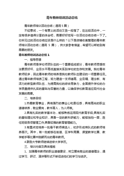 青年教师培训活动总结