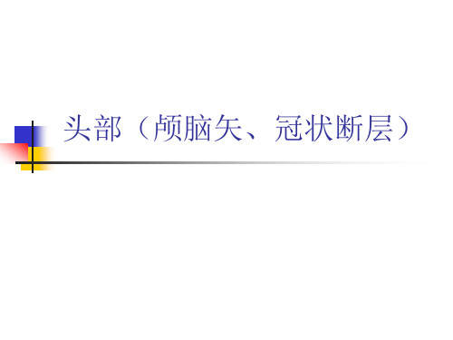 人体断层解剖学(头部  颅脑矢、冠状断层)