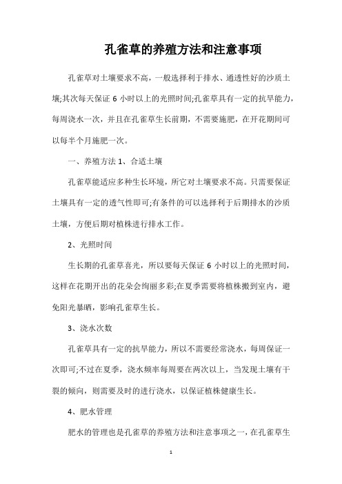 孔雀草的养殖方法和注意事项