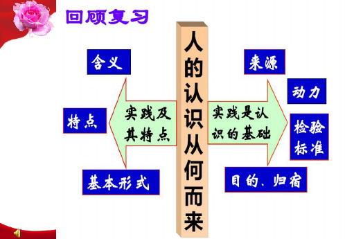 高中政治统编版必修四《哲学与文化》4.2在实践中追求和发展真理(共20张PPT)