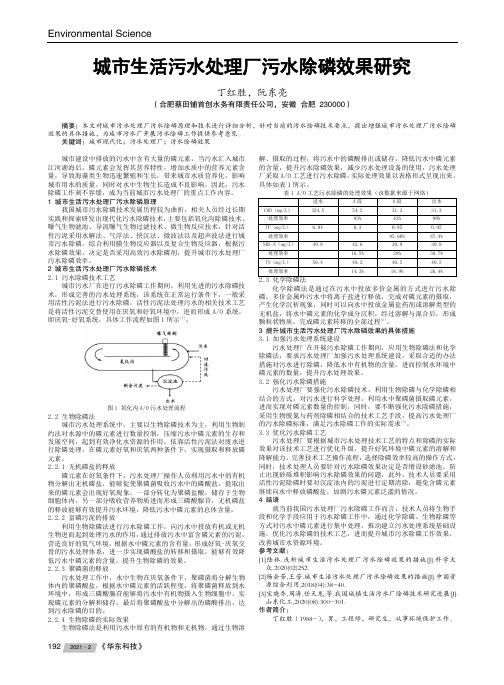 城市生活污水处理厂污水除磷效果研究