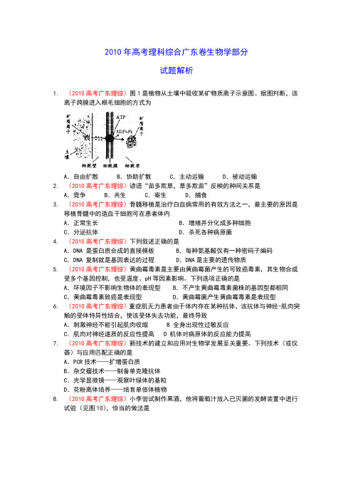 2010高考广东理综生物(解析)