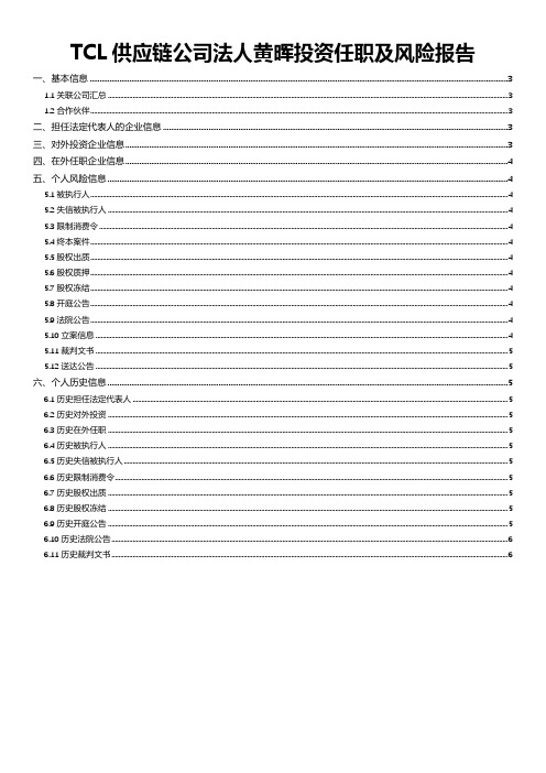 TCL供应链公司法人-黄晖投资任职及风险报告