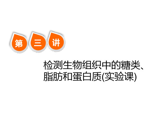第三讲  检测生物组织中的糖类、脂肪和蛋白质(实验课)