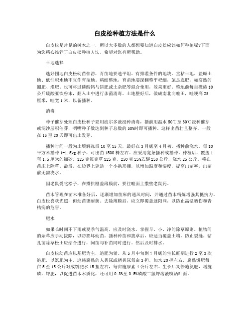 白皮松种植方法是什么