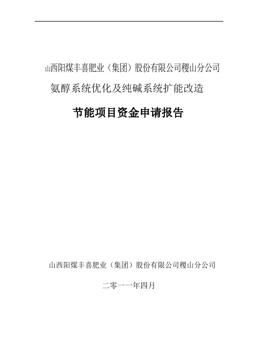 氨醇系统优化纯碱系统扩能改造项目申请报告