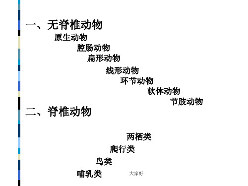 动物的分类全面版