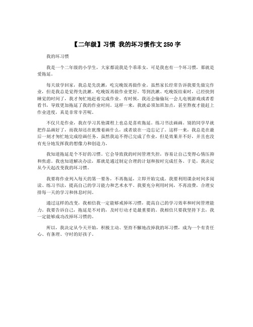 【二年级】习惯 我的坏习惯作文250字