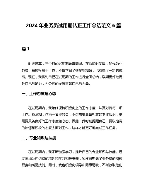 2024年业务员试用期转正工作总结范文6篇