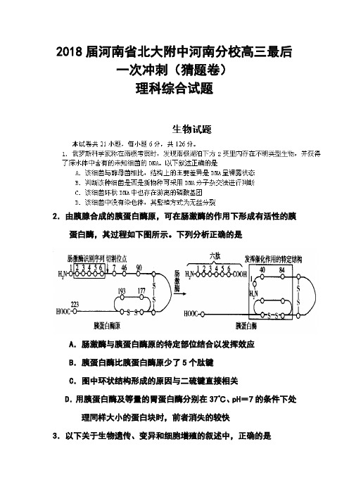 最新--河南省北大附中河南分校高三最后一次冲刺(猜题卷)理科综合试题及答案 精品推荐