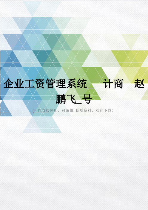 企业工资管理系统___计商__赵鹏飞_号推荐文档