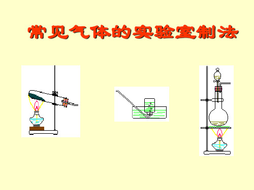 常见气体的实验室制法PPT课件