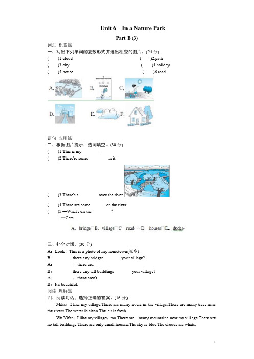 课时测评-英语人教PEP5年上 unit6 In a nature park-PartB试题及答案 (3)