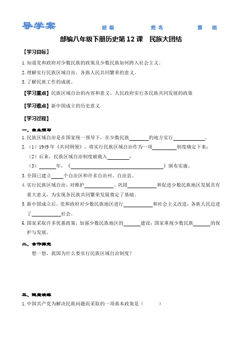 部编八年级下册历史第12课 民族大团结学案