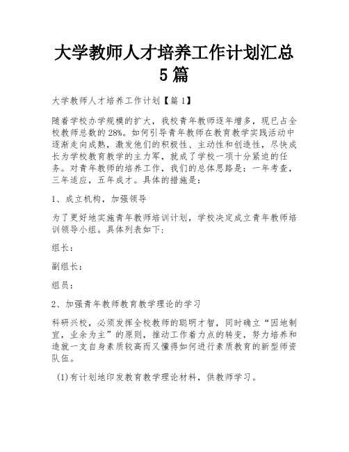 大学教师人才培养工作计划汇总5篇