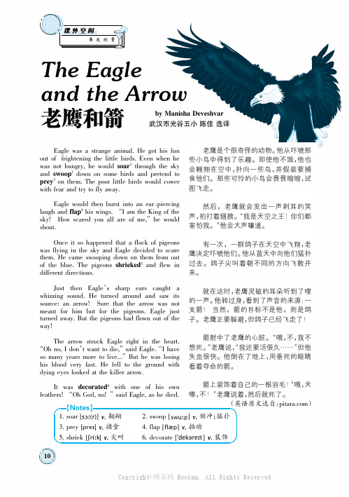 The Eagle and the Arrow 老鹰和箭