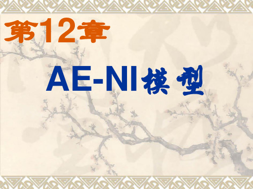 第12章 AE-NI模型