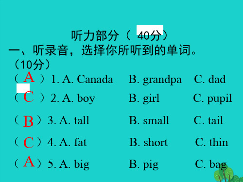 小学英语-期中检测卷(一)