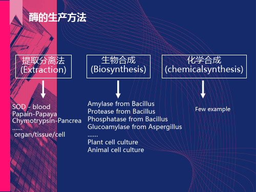 药用酶的生产技术