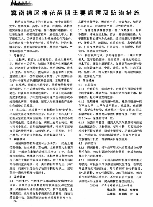 冀南棉区棉花苗期主要病害及防治措施