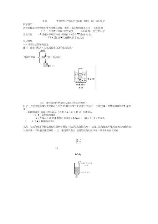 高三生物教案：3、实验一生物组织中可溶性还原糖、脂肪、蛋白质的鉴定