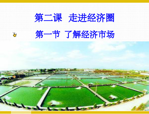了解市场经济ppt课件