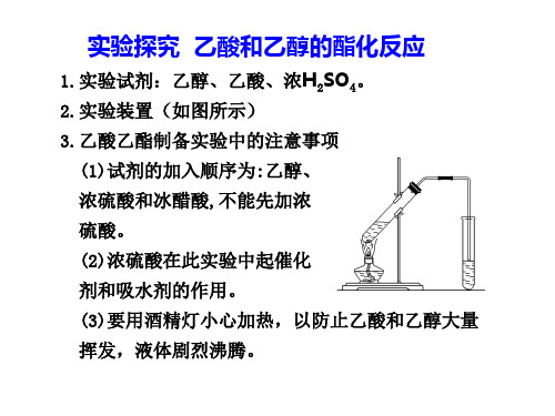 实验探究__乙酸和乙醇的酯化反应