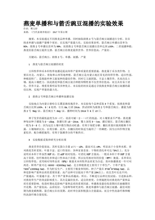 燕麦单播和与箭舌豌豆混播的实验效果