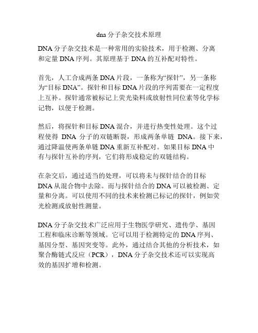 dna分子杂交技术原理