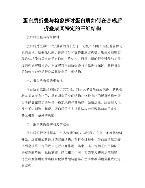 蛋白质折叠与构象探讨蛋白质如何在合成后折叠成其特定的三维结构