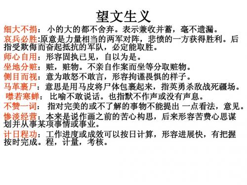 成语辨析复习