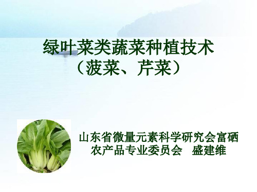 绿叶类蔬菜种植技术