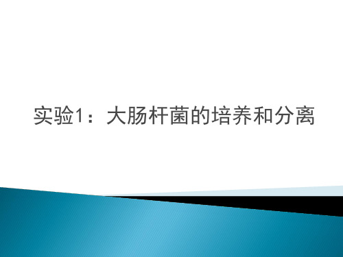 高中生物选修一实验一-大肠杆菌的培养和分离