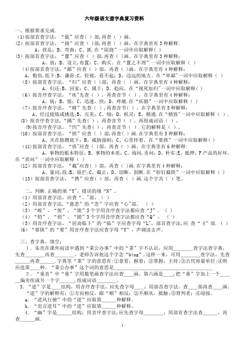 六年级语文查字典复习资料