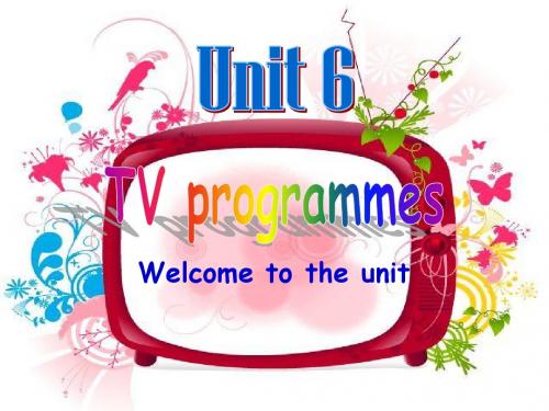 9A_Unit6_TV_programmes_公开课课件