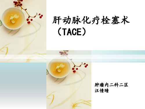 TACE(肝动脉化疗栓塞术)