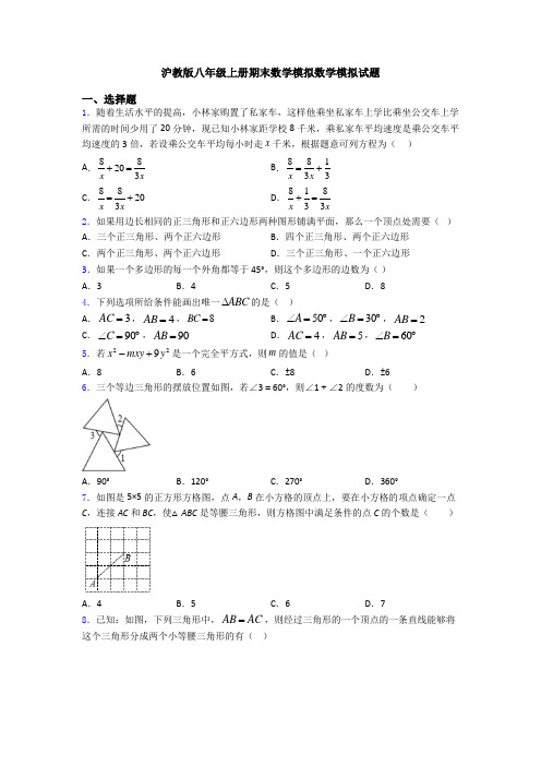 沪教版八年级上册期末数学模拟数学模拟试题