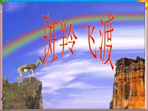七年级语文《斑羚飞渡》课件1 新人教版