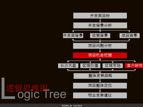 0227世联新城地产望城项目前期定位策划报告2