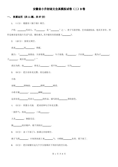 安徽省小升初语文全真模拟试卷(二)B卷