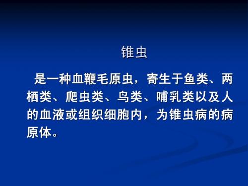 第五节 锥虫