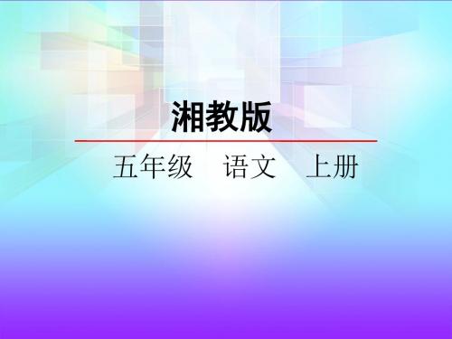 湘教版五年级语文4留住今天的太阳