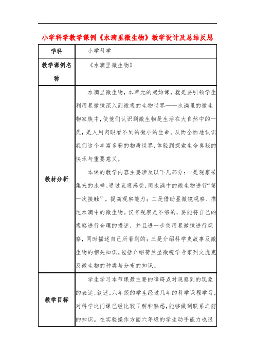 小学科学教学课例《水滴里微生物》课程思政核心素养教学设计及总结反思