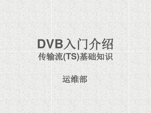 DVB入门介绍