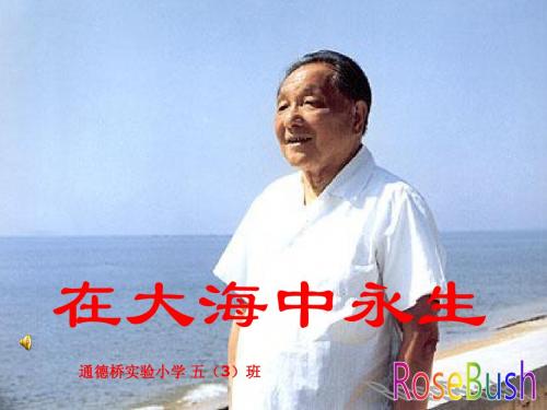 在大海中永生 课件